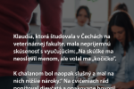 RODOVÁ (NE)ROVNOSŤ NA SLOVENSKU: REALIZÁCIA SÉRIE ŽURNALISTICKÝCH TEXTOV V ONLINOVOM MÉDIU_grafika